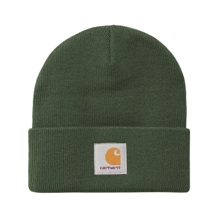 Carhartt Short Watch Beanie in Green