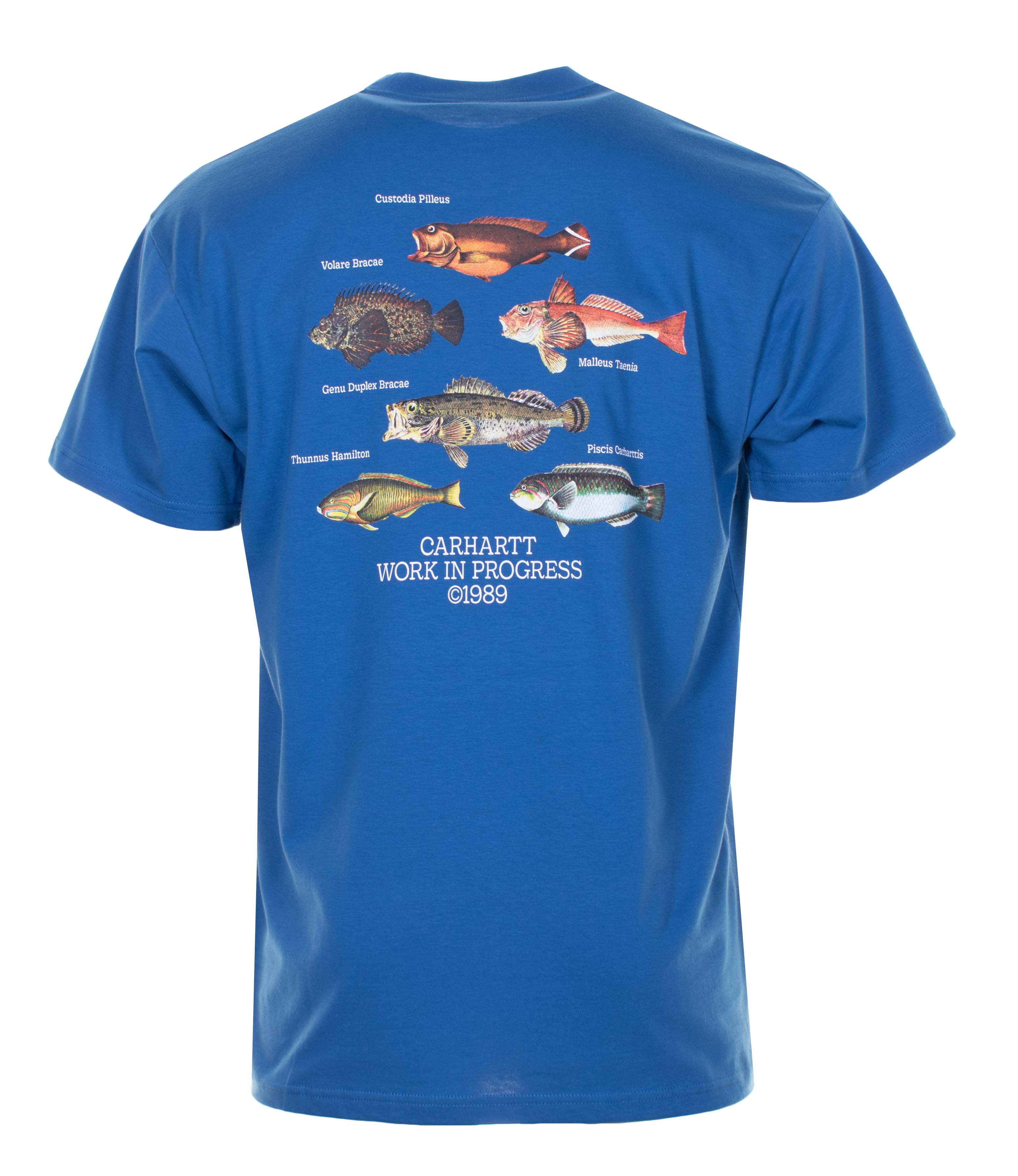 Short Sleeve Fish T Shirt Acapulco