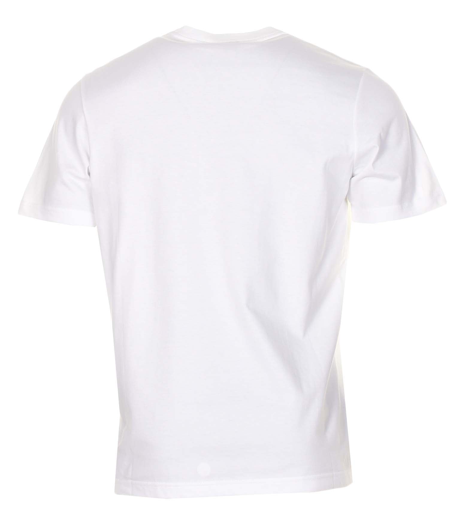 Regular Fit Spray Stripe T Shirt White